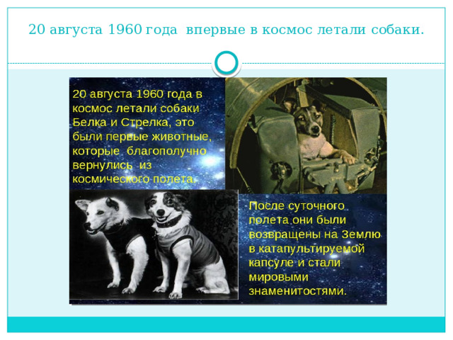 20 августа 1960 года впервые в космос летали собаки.    
