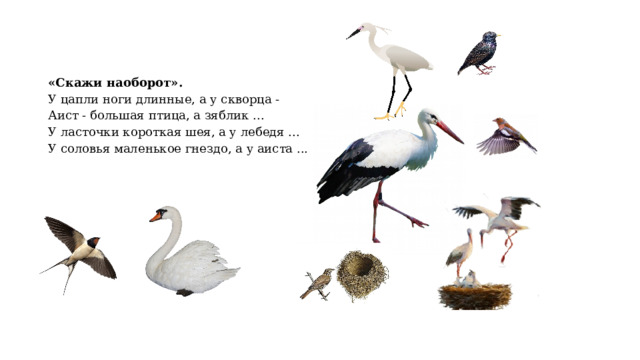 «Скажи наоборот». У цапли ноги длинные, а у скворца - Аист - большая птица, а зяблик ... У ласточки короткая шея, а у лебедя ... У соловья маленькое гнездо, а у аиста ... 