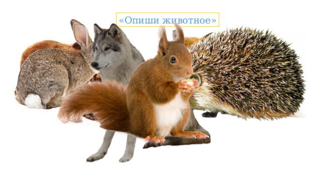 «Опиши животное» Дидактическая игра «Опиши животное». Подобрать к каждому животному как можно больше слов-признаков и слов-действий. Медведь (какой?) – бурый, огромный, лохматый, косолапый, сильный, неуклюжий. Заяц (какой?) – серый, быстрый, трусливый, … . Лиса (какая?) –  рыжая, хитрая, … . Ёж (какой?) – колючий, маленький … . Волк (что делает?) – охотится, воет, … . Белка (что делает?) - … .  