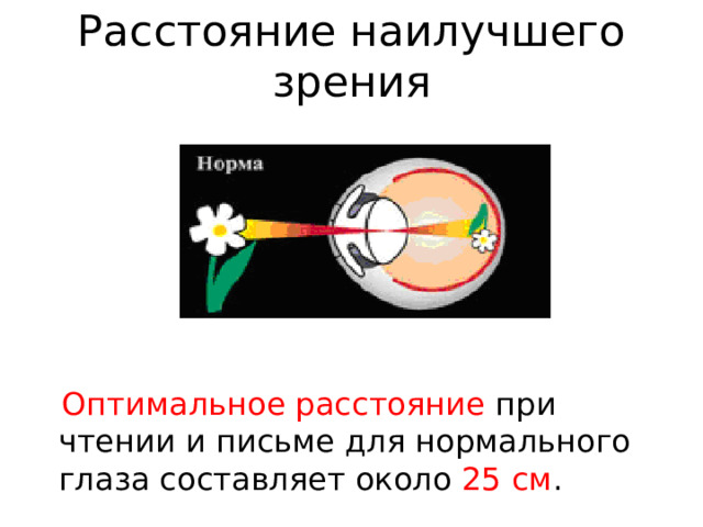 Расстояние наилучшего зрения  Оптимальное расстояние при чтении и письме для нормального глаза составляет около 25 см . 