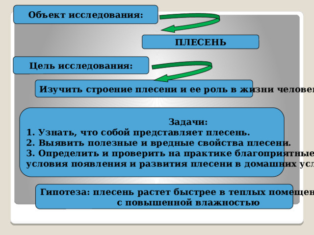 Объект исследования: ПЛЕСЕНЬ Цель исследования: Изучить строение плесени и ее роль в жизни человека Задачи: 1. Узнать, что собой представляет плесень. 2. Выявить полезные и вредные свойства плесени. 3. Определить и проверить на практике благоприятные условия появления и развития плесени в домашних условиях. Гипотеза: плесень растет быстрее в теплых помещениях с повышенной влажностью 