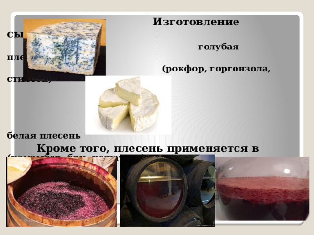  Изготовление сыров  голубая плесень  (рокфор, горгонзола, стилтон)     белая плесень  (камамбер, бри, нешатель) Кроме того, плесень применяется в виноделии . 