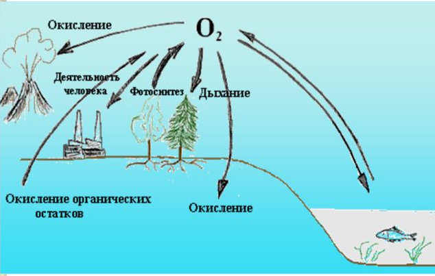 Круговорот веществ воды схема