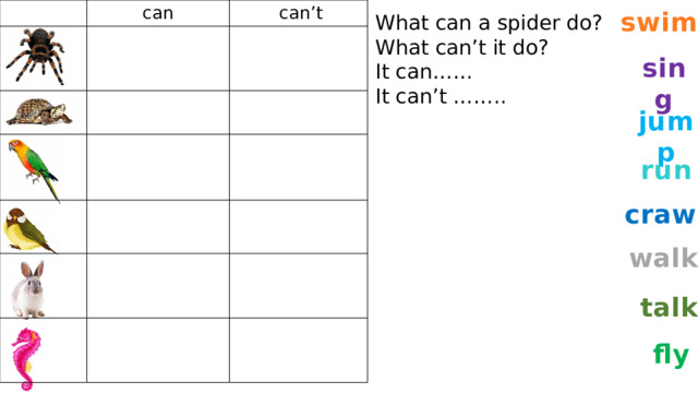 can  can’t swim What can a spider do? What can’t it do? It can…… It can’t …….. sing jump run crawl walk talk fly 