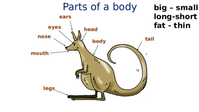 Parts of a body big – small long-short fat - thin ears eyes  head nose  tail  body  mouth legs 