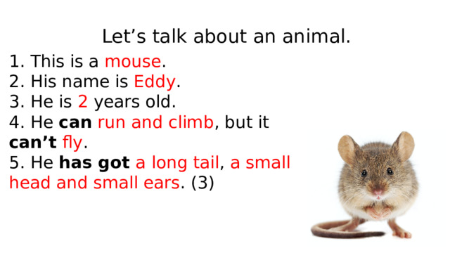 Let’s talk about an animal. 1. This is a mouse . 2. His name is Eddy . 3. He is 2 years old. 4. He can  run and climb , but it can’t  fly . 5. He has got a long tail , a small head and small ears . (3) 