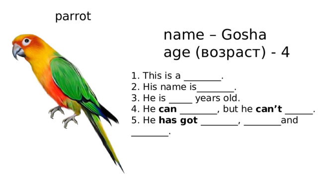 parrot name – Gosha age (возраст) - 4 1. This is a ________. 2. His name is________. 3. He is _____ years old. 4. He can ________, but he can’t ______. 5. He has got ________, ________and ________. 
