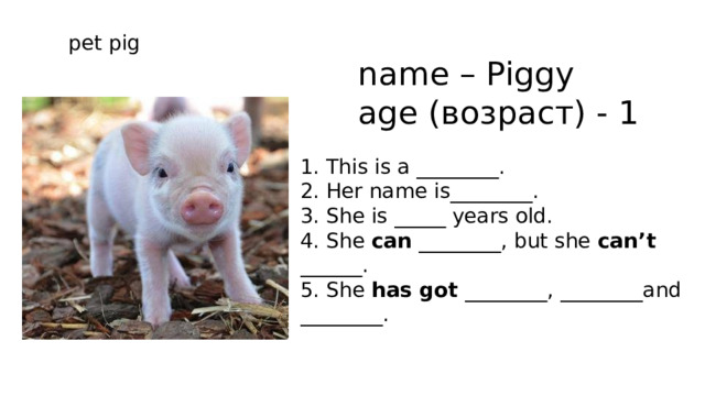 pet pig name – Piggy age (возраст) - 1 1. This is a ________. 2. Her name is________. 3. She is _____ years old. 4. She can ________, but she can’t ______. 5. She has got ________, ________and ________. 