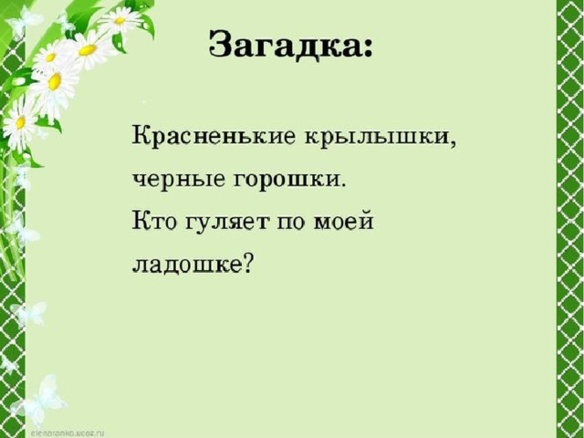 В гости к хозяйке луга презентация