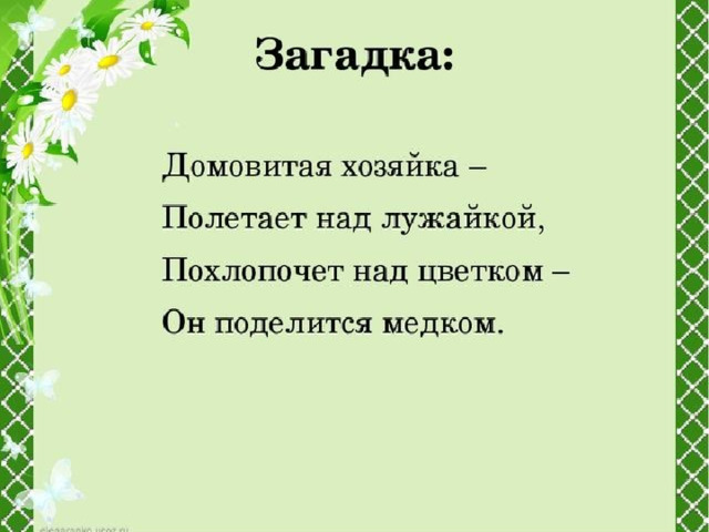 В гости к хозяйке луга занятие в средней группе презентация