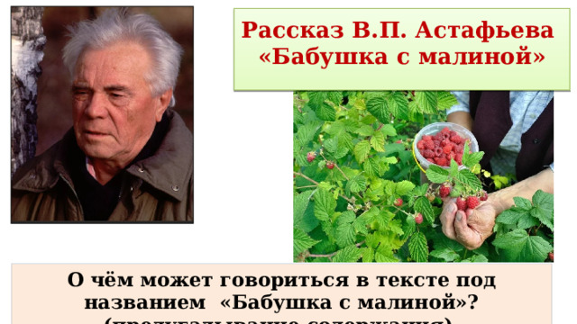 Рассказ В.П. Астафьева  «Бабушка с малиной»   О чём может говориться в тексте под названием «Бабушка с малиной»? (предугадывание содержания) 