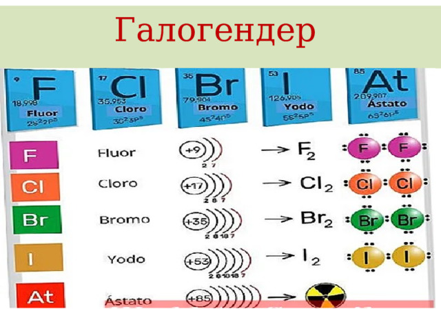 Галогендер 