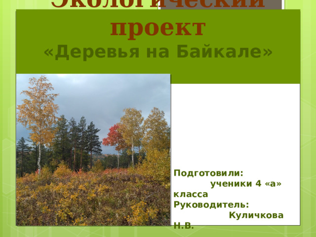 Презентация для старшей группы" деревья наших лесов"