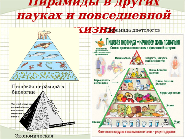 Пирамиды в других науках и повседневной жизни Пирамида диетологов Пищевая пирамида в биологии Экономическая пирамида  