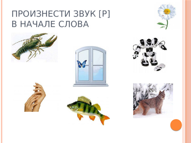 Р в начале слова. Звук р в начале слова. Автоматизация звука р в начале слова. Слова со звуком р в начале слова. Автоматизация р в начале слова.