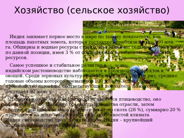 Казахстан занимал 10 место определите по диаграмме какое место по производству пшеницы занимал индия