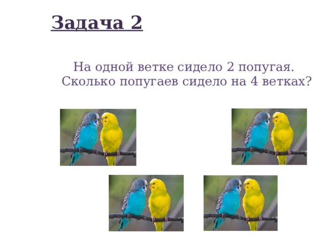 Задача 2  На одной ветке сидело 2 попугая. Сколько попугаев сидело на 4 ветках? 