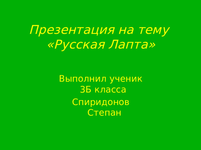Презентация на тему  «Русская Лапта» Выполнил ученик 3Б класса Спиридонов Степан 