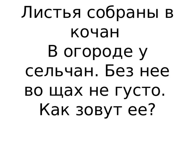 Листья собраны в кочан  В огороде у сельчан. Без нее во щах не густо.  Как зовут ее?     