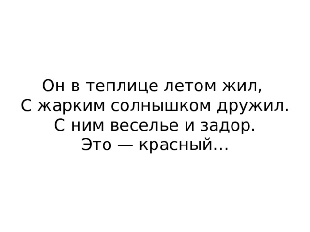 Он в теплице летом жил,  С жарким солнышком дружил.  С ним веселье и задор.  Это — красный…    