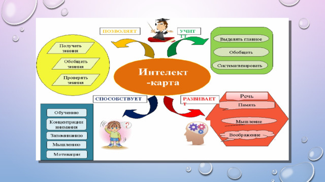 Интеллект карта насекомые для дошкольников