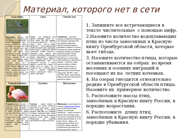 Материал, которого нет в сети 1. Запишите все встречающиеся в тексте числительные с помощью цифр. 2.Назовите количество водоплавающих птиц из числа занесенных в Красную книгу Оренбургской области, которые вьют гнёзда. 3. Назовите количество птицы, которые останавливаются на озёрах во время весенних и осенних миграций и посещают их на летних кочевках. 4. На озерах гнездятся относительно редкие в Оренбургской области птицы. Назовите их примерное количество. 5. Расположите массы птиц, занесённых в Красную книгу России, в порядке возрастания. 6. Расположите длину птиц, занесённых в Красную книгу России, в порядке убывания. 