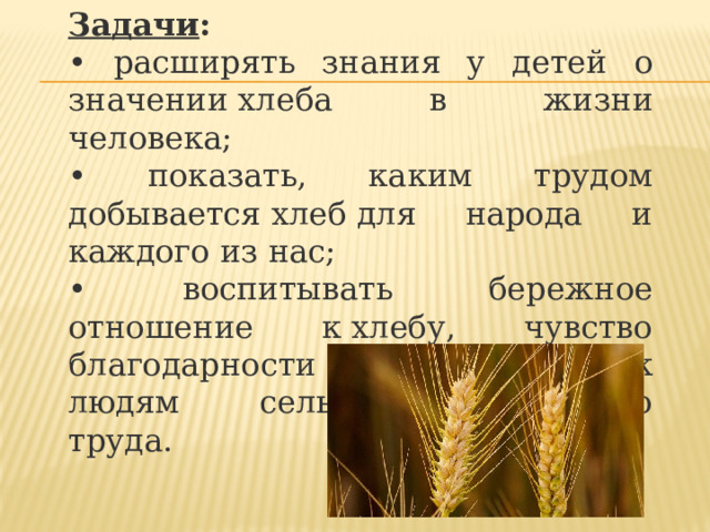 Задачи : • расширять знания у детей о значении хлеба в жизни человека; • показать, каким трудом добывается хлеб для народа и каждого из нас; • воспитывать бережное отношение к хлебу, чувство благодарности и уважения к людям сельскохозяйственного труда. 