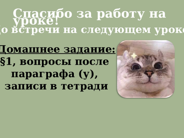 Спасибо за работу на уроке! До встречи на следующем уроке ! Домашнее задание: § 1, вопросы после параграфа (у), записи в тетради 