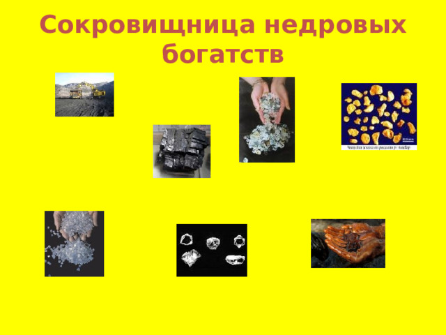 Сокровищница недровых богатств 