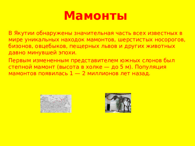 Мамонты В Якутии обнаружены значительная часть всех известных в мире уникальных находок мамонтов, шерстистых носорогов, бизонов, овцебыков, пещерных львов и других животных давно минувшей эпохи. Первым измененным представителем южных слонов был степной мамонт (высота в холке — до 5 м). Популяция мамонтов появилась 1 — 2 миллионов лет назад.  