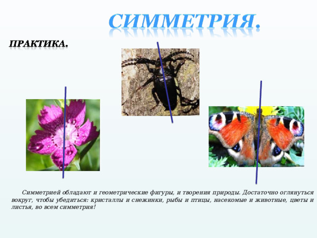 Симметрия проект 7 класс Красота геометрии - Математика - Презентации - 6 класс