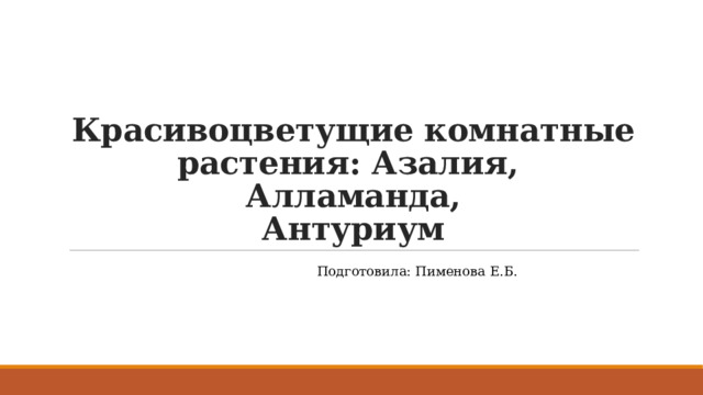 Красивоцветущие комнатные растения: Азалия,  Алламанда,  Антуриум Подготовила: Пименова Е.Б. 