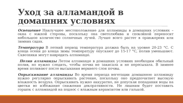 Уход за алламандой в домашних условиях Освещение Наилучшее местоположение для алламанды в домашних условиях – окна с южной стороны, поскольку она светолюбива и спокойной переносит небольшое количество солнечных лучей. Лучше всего растет в оранжереях или зимних садах. Температура В летний период температура должна быть на уровне 20-23 °C. С конца осени до конца зимы температуру опускают до 15-17 °C, полив уменьшают. Сквозняки могут навредить алламанде.  Полив алламанды Летом алламанде в домашних условиях необходим обильный полив, но нужно следить, чтобы почва не закисала и не пересыхала. В зимнее время поливают после высыхания верхнего слоя почвы. Опрыскивание алламанды Во время периода вегетации домашнюю алламанду нужно регулярно опрыскивать растение, поскольку оно предпочитает высокую влажность воздуха. Опрыскивать нужно аккуратно, не допуская попадания воды на цветки во избежание снижения декоративности. Не лишним будет поставить горшок с алламандой на поднос с влажным керамзитом или галькой. 