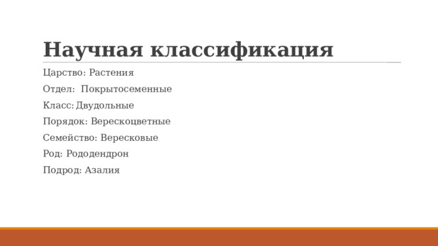 Научная классификация Царство: Растения Отдел: Покрытосеменные Класс:  Двудольные Порядок: Верескоцветные Семейство: Вересковые Род: Рододендрон Подрод: Азалия 