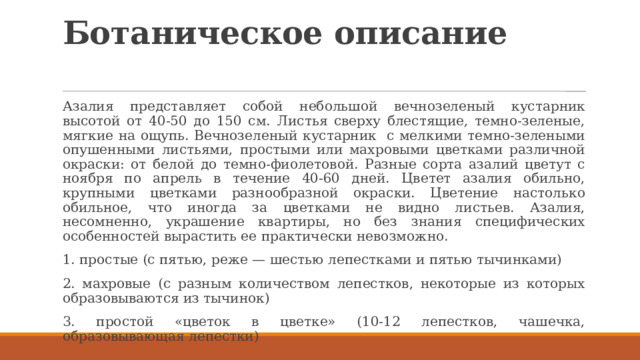 Ботаническое описание   Азалия представляет собой небольшой вечнозеленый кустарник высотой от 40-50 до 150 см. Листья сверху блестящие, темно-зеленые, мягкие на ощупь. Вечнозеленый кустарник с мелкими темно-зелеными опушенными листьями, простыми или махровыми цветками различной окраски: от белой до темно-фиолетовой. Разные сорта азалий цветут с ноября по апрель в течение 40-60 дней. Цветет азалия обильно, крупными цветками разнообразной окраски. Цветение настолько обильное, что иногда за цветками не видно листьев. Азалия, несомненно, украшение квартиры, но без знания специфических особенностей вырастить ее практически невозможно. 1. простые (с пятью, реже — шестью лепестками и пятью тычинками) 2. махровые (с разным количеством лепестков, некоторые из которых образовываются из тычинок) 3. простой «цветок в цветке» (10-12 лепестков, чашечка, образовывающая лепестки) 