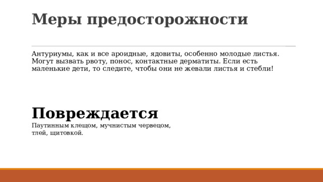 Меры предосторожности   Антуриумы, как и все ароидные, ядовиты, особенно молодые листья. Могут вызвать рвоту, понос, контактные дерматиты. Если есть маленькие дети, то следите, чтобы они не жевали листья и стебли! Повреждается Паутинным клещом, мучнистым червецом, тлей, щитовкой. 