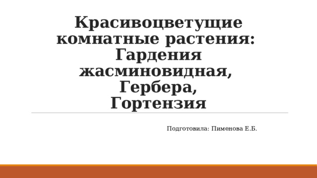 Красивоцветущие комнатные растения:  Гардения жасминовидная,  Гербера,  Гортензия Подготовила: Пименова Е.Б. 