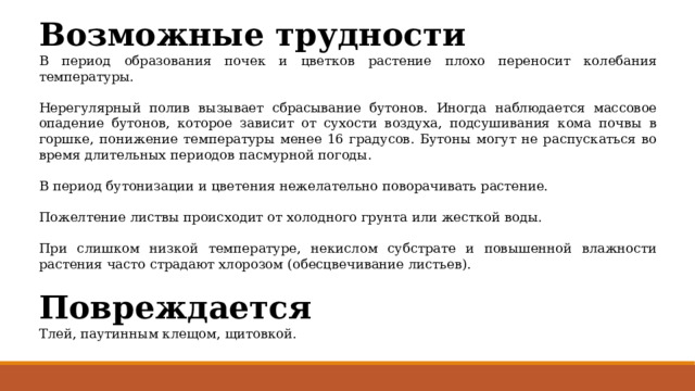 Возможные трудности В период образования почек и цветков растение плохо переносит колебания температуры. Нерегулярный полив вызывает сбрасывание бутонов. Иногда наблюдается массовое опадение бутонов, которое зависит от сухости воздуха, подсушивания кома почвы в горшке, понижение температуры менее 16 градусов. Бутоны могут не распускаться во время длительных периодов пасмурной погоды. В период бутонизации и цветения нежелательно поворачивать растение. Пожелтение листвы происходит от холодного грунта или жесткой воды. При слишком низкой температуре, некислом субстрате и повышенной влажности растения часто страдают хлорозом (обесцвечивание листьев). Повреждается Тлей, паутинным клещом, щитовкой. 