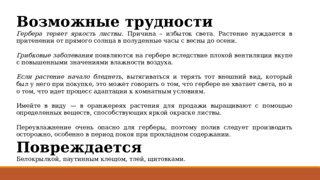 Возможные трудности Гербера теряет яркость листвы. Причина – избыток света. Растение нуждается в притенении от прямого солнца в полуденные часы с весны до осени. Грибковые заболевания появляются на гербере вследствие плохой вентиляции вкупе с повышенными значениями влажности воздуха. Если растение начало бледнеть , вытягиваться и терять тот внешний вид, который был у него при покупке, это может говорить о том, что гербере не хватает света, но и о том, что идет процесс адаптации к комнатным условиям. Имейте в виду — в оранжереях растения для продажи выращивают с помощью определенных веществ, способствующих яркой окраске листвы. Переувлажнение очень опасно для герберы, поэтому полив следует производить осторожно, особенно в период покоя при прохладном содержании. Повреждается Белокрылкой, паутинным клещом, тлей, щитовками. 