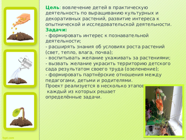 Людмила и анатолий собрали и подготовили для гербария образцы растений для каждого растения алоэ
