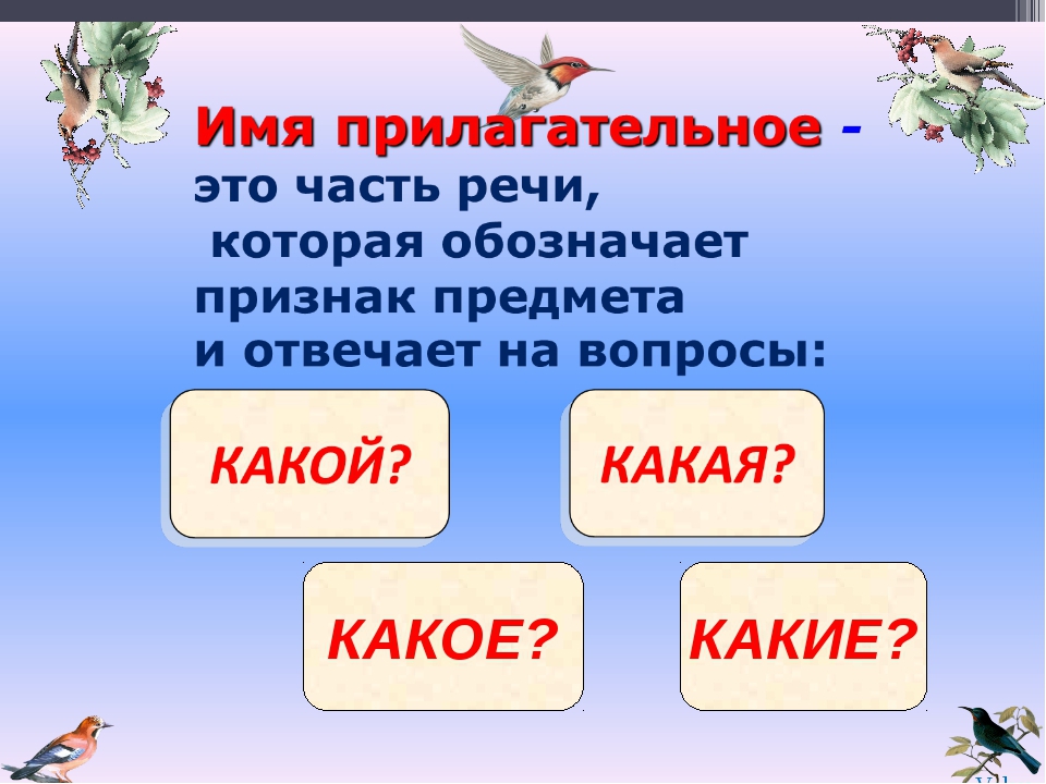 Имя прилагательное картинки