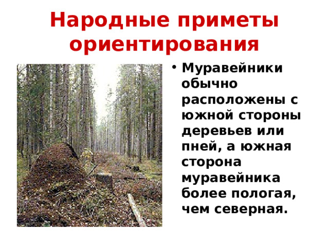 Народные приметы ориентирования Муравейники обычно расположены с южной стороны деревьев или пней, а южная сторона муравейника более пологая, чем северная. 