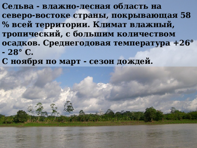 Сельва - влажно-лесная область на северо-востоке страны, покрывающая 58 % всей территории. Климат влажный, тропический, с большим количеством осадков. Среднегодовая температура +26° - 28° С. С ноября по март - сезон дождей. 
