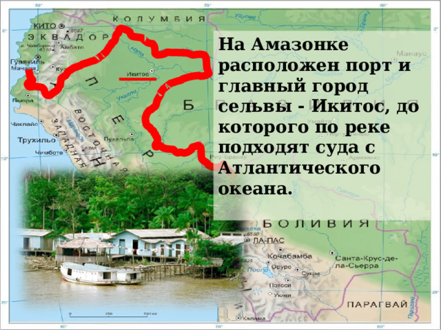 На Амазонке расположен порт и главный город сельвы - Икитос, до которого по реке подходят суда с Атлантического океана.   