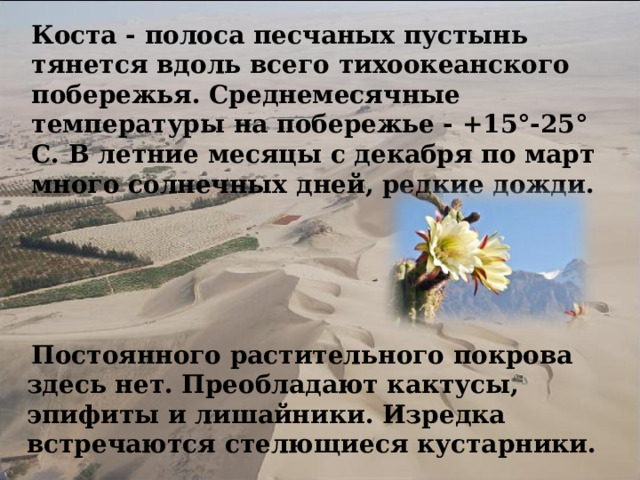 Коста - полоса песчаных пустынь тянется вдоль всего тихоокеанского побережья. Среднемесячные температуры на побережье - +15°-25° С. В летние месяцы с декабря по март много солнечных дней, редкие дожди.  Постоянного растительного покрова здесь нет. Преобладают кактусы, эпифиты и лишайники. Изредка встречаются стелющиеся кустарники.   