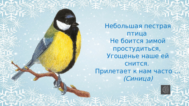 Небольшая пестрая птица Не боится зимой простудиться, Угощенье наше ей снится. Прилетает к нам часто … (Синица)    