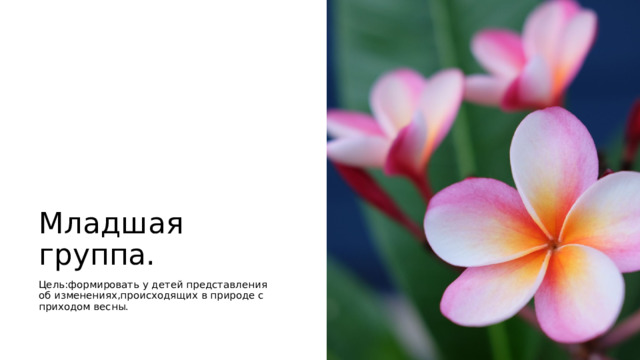 Младшая группа. Цель:формировать у детей представления об изменениях,происходящих в природе с приходом весны. 