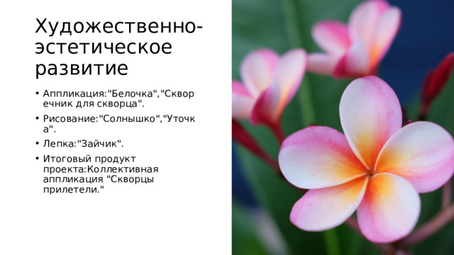 Художественно-эстетическое развитие Аппликация:
