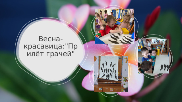 Весна-красавица: