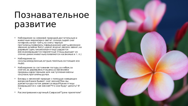 Познавательное развитие Наблюдение за неживой природой,растительным и животным миром(ярко светит солнце,сырой снег почернел,начал таять,на снегу черные проталины,появились первые,ранние цветы,весенние звонкие ручейки бегут,шумят,журчат,весело звенят,на деревьях шум,гам,веселье-птицы радуются весне,возвращаются перелётные птицы,выходят из спячки дикие животные,появляются насекомые и т. п.) Наблюдение за сосульками(длинные,острые,тяжёлые,состоящие изо льда). Наблюдение за состоянием погоды,за небом,за снегом,за деревьями,птицами,за явлениями природы,характерными для наступления весны-сосульки,проталины,ручьи. Беседы о весенней природе с помощью наводящих вопросов:Каким бывает снег весной?Как вы думаете,куда потом девается вода?Какие птицы возвращаются к нам весной?Что они будут делать? И т.д Рассматривание картиныА.Саврасов